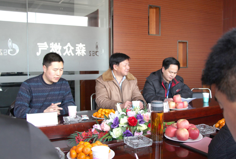 林口县政府与永利(中国)集团官方网站燃气项目洽谈.png